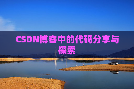 CSDN博客中的代码分享与探索